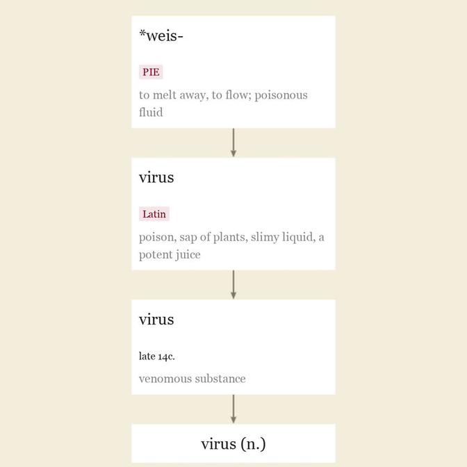 Origin and meaning of virus